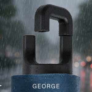 Alternative view of Paraguas George